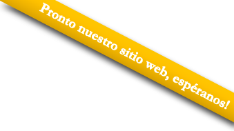 Sitio Web en Construccion